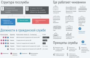 Инфографика: как устроена госслужба